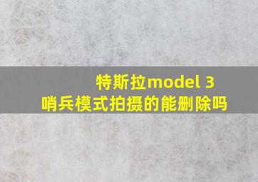 特斯拉model 3哨兵模式拍摄的能删除吗